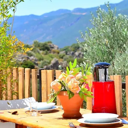Rana Aparts&bungalows Lejlighed Kaş